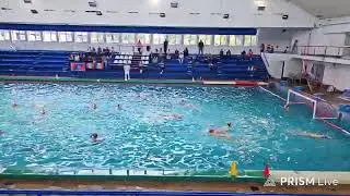 Live streaming of Rapid București Junior Waterpolo Team - Fan Zone