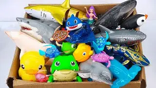 [Toy asmr] RC Dolphin & RC Shark & RC Ray & Zuru Fish & Aquarium ASMR Satisfying with Unboxing