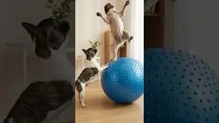 French Bulldog Plays With Ball 🐶❤️ #ai #dog #puppy