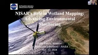 Trees Around the GLOBE Webinar 75 on November 12, 2024