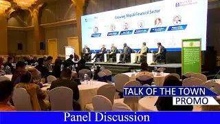 Panel Discussion : Development Financial Institutions (DFIs) and Investment in Nepal