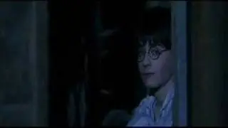 We're In Heaven- Harry Potter