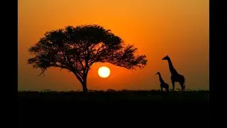 KlirrFaktor - Africa (Bootleg)