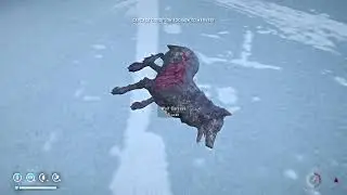 The Long Dark - Outer Stalker - 4th slot down - Ep - 12