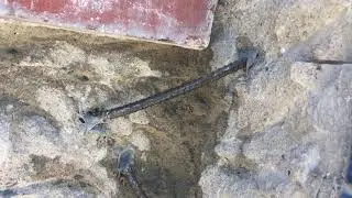 #2 - Placerita Pool & Spa Crack Repair