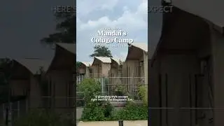 Отдых в палатках в жаркий Сингапур? Вот как это сделать стильно ⛺✨