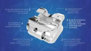 Self ligating Bracket - Pactive