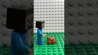 steve is jumped by a frog