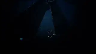 Reanimal