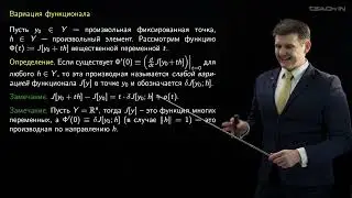Лукьяненко Д.В. - Интегральные уравнения и вариационное исчисление - 2. Вариация функционала