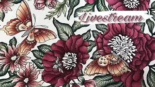 DAGDRÖMMAR: Coloring butterflies