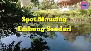 Spot mancing di Sleman..Embung Sendari.wow banyak ikannya..