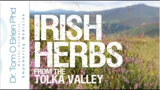 Irish Herbs, plant medicines growing in Dublin, Ireland