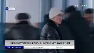 Мемлекеттік нөмірді онлайн алу қызметі түсіндірілді