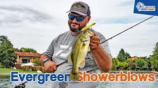 Evergreen Showerblows in azione 🎣 Topwater strike e catture incredibili