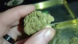 strain odin s bitch