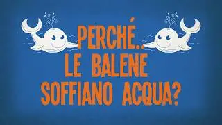 Perch&eacute; le balene soffiano acqua?