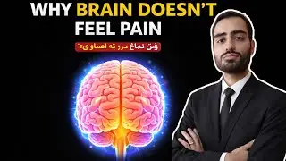 The Brain Feels Everything Except Pain 🤯 Here&rsquo;s Why