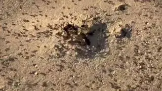 Video of RV Big Spring Texas, TX from Gary W.