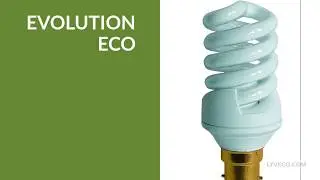 LyvEco LED Lamps