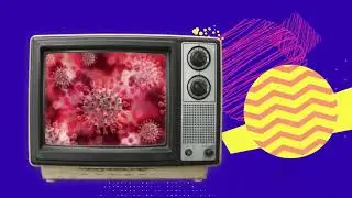 Baghpat Local News Channel | बागपत की सभी ताजा खबरे- Baghpat News
