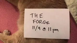 Toonami's The Forge Trailer - Dana's version