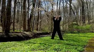 15 Minute Qigong (氣功) Exercise Routine for Health & Well Being