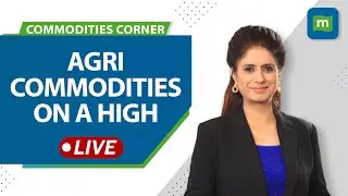 Commodities Live: Agri Commodities Surge; Rice Stocks On The Boil | Rice, Sugar, Oil In Focus