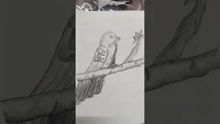 2- 🐦 How to draw Bird #drawing #drawbird #birddrawingstepbystep #viralvideo  #simpleelegantdrawing
