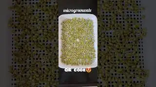 Microgreen seeds have generated QR code for our healthy life.. generate your own..