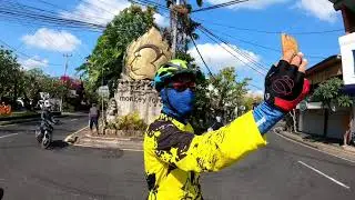 Gowes Ubud Monkey Forest