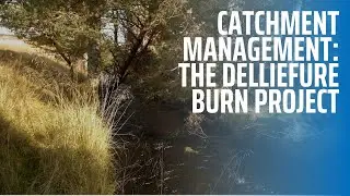 Catchment Management: The Delliefure Burn Project