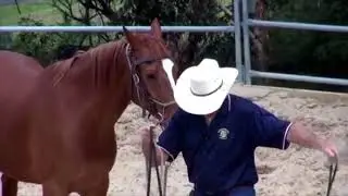 Managing the girthy horse