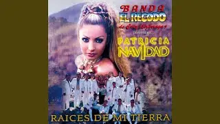 Mi Eterno Amor Secreto (feat. Banda El Recodo de Cruz Lizárraga)
