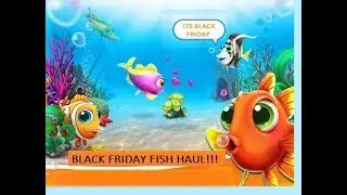 BLACK FRIDAY FISH SUPPLY HAUL!!!