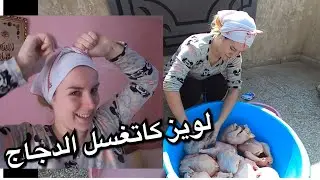 لويز كاتغسل في الدجاج على قبل الرفيسة
