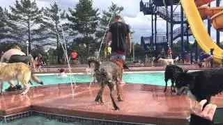 Otis Shakes Off Again