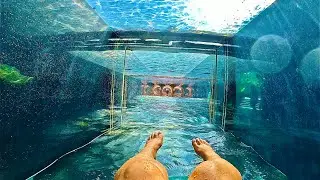 Shark Attack Water Slide at Aquaventure Waterpark Dubai