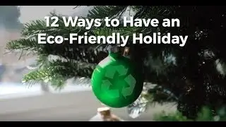 12 Ways to Have an Eco Friendly Holiday