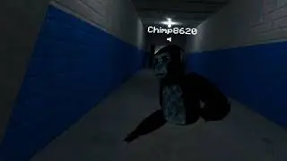 Playing Chimplab VR!!!
