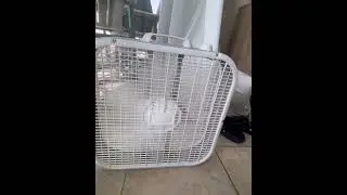 White Floor Lasko Fan At My Condo Part 1/2