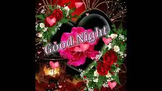 #short Good night status gif video