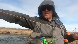 Z man Elaztech 