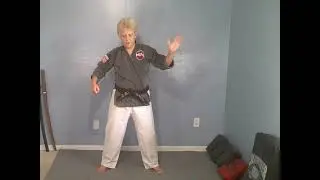 Kenpo Drills #1