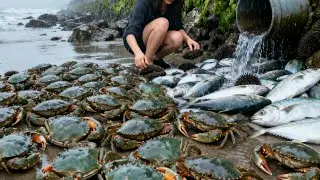 Xiao Zhang Screamed When He Discovered A Large Fish, And There Were Even Sea Cucumbers!