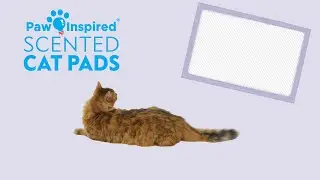 Disposable Scented Cat Pads for Cat Litter Boxes | Paw Inspired&reg;