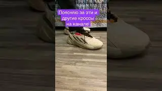 Обзор Adidas Ozelia & Adidas Ozrah Кто круче?