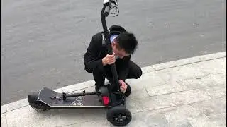Practical Fat Tire Lithium Battery Citycoco 3 Wheel 1200W Electric Scooter Golf