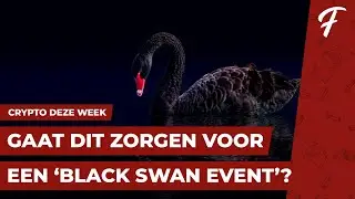 A 'BLACK SWAN EVENT' FOR BITCOIN IN 2026? || CRYPTO THIS WEEK #270