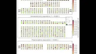 Synaptic weight changes due to reinforcement learning in a biomimetic model of sensorimotor cortex